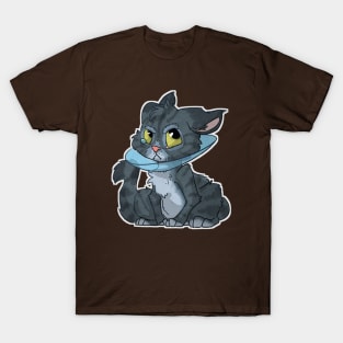 Cat in cone T-Shirt